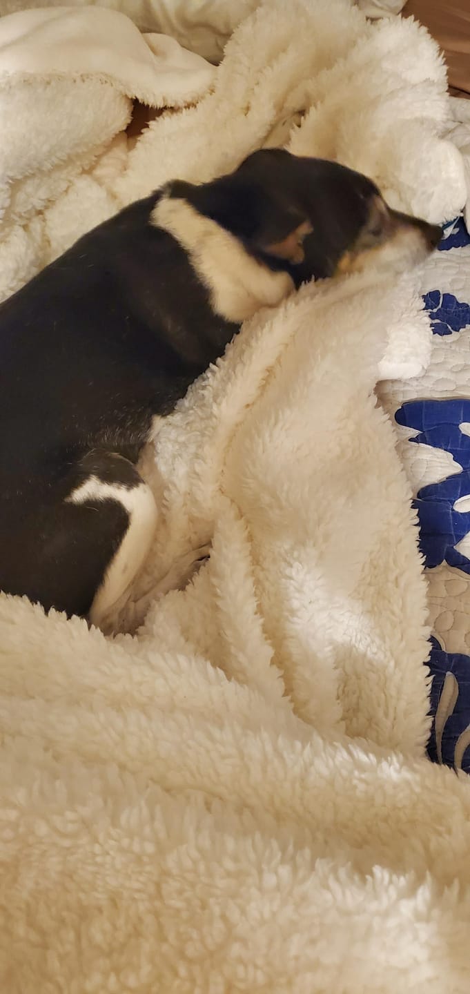 Customer photo review of CloudCozy Ultra Blød Sherpa Tæppe
