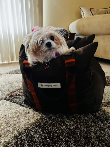 Customer photo review of Sleeping Paws Pooch Pad