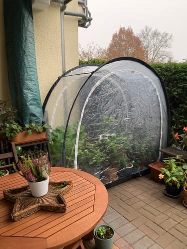Customer photo review of Überwinterungszelt Arctic für Pflanzen in Anthrazit L 186 x B 84 x H 175 cm
