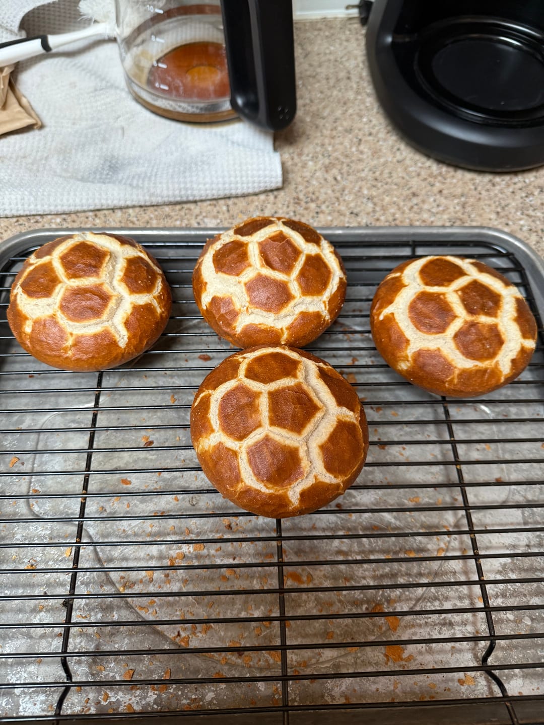 Customer photo review of Pretzel Sandwich Rolls (5 pack)
