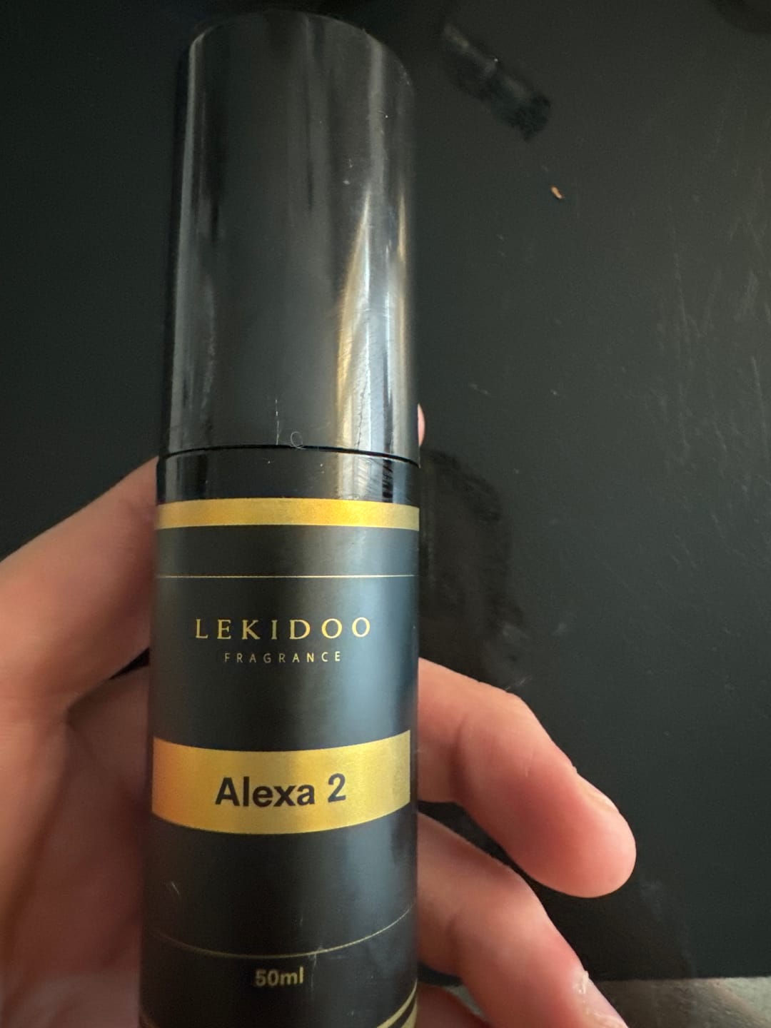 Customer photo review of Alexa 2