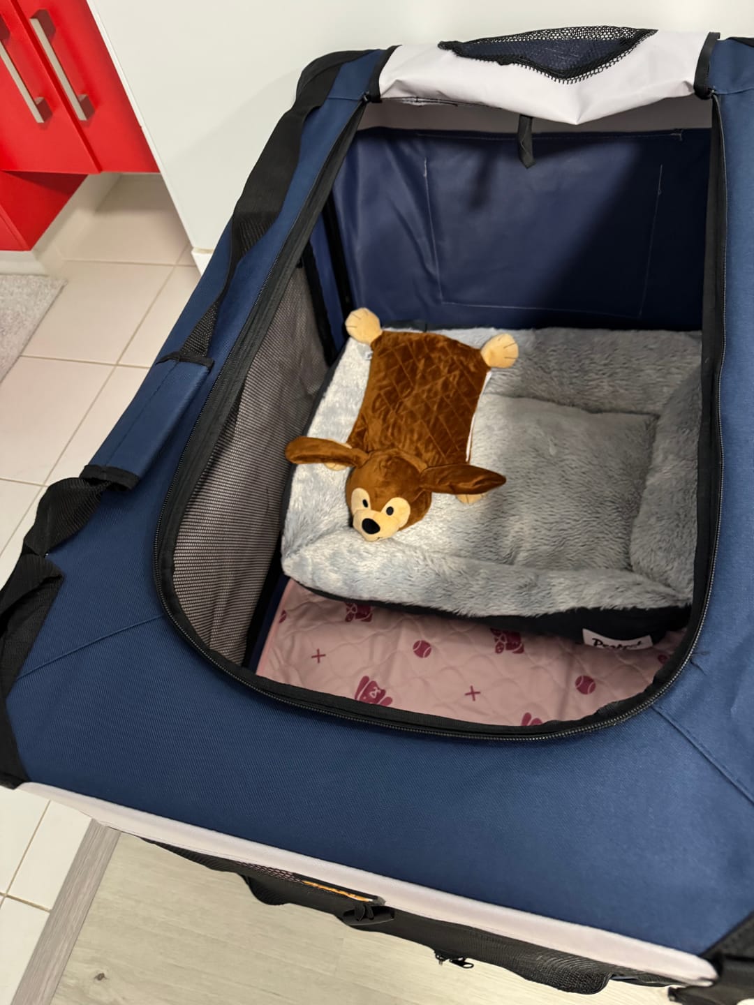 Customer photo review of Pawz Pet Carrier