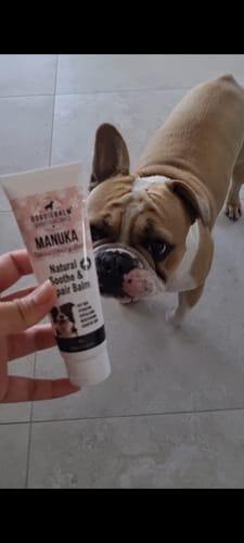Customer photo review of DoggieBalm Manuka