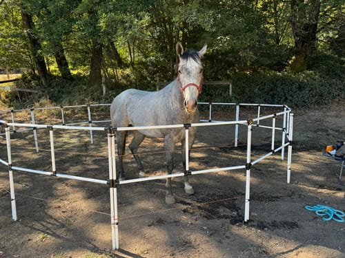 Customer photo review of Ready Made Portable Electric Horse Corral Fencing: (Electric EconoLine 12 Panels; 2 Rails)
