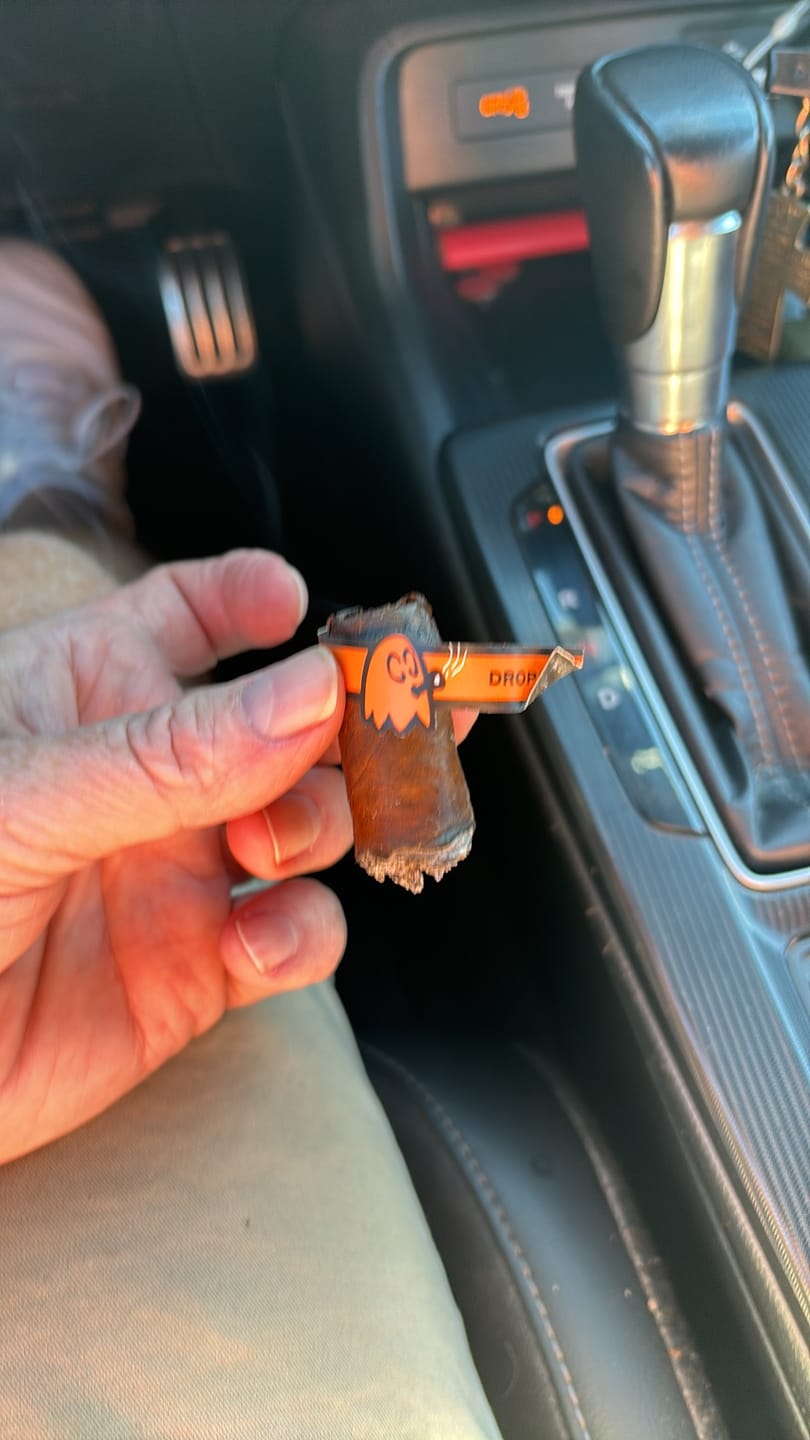 Customer photo review of The Mascot