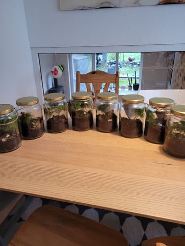 Customer photo review of Flaschengarten-Kindergeburtstags-Set