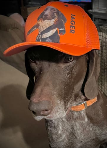 Customer photo review of Hunting Dogs Pheasant Hunting Blaze Orange Custom Name Mesh Back Cap, Hunting Cap FSD4524