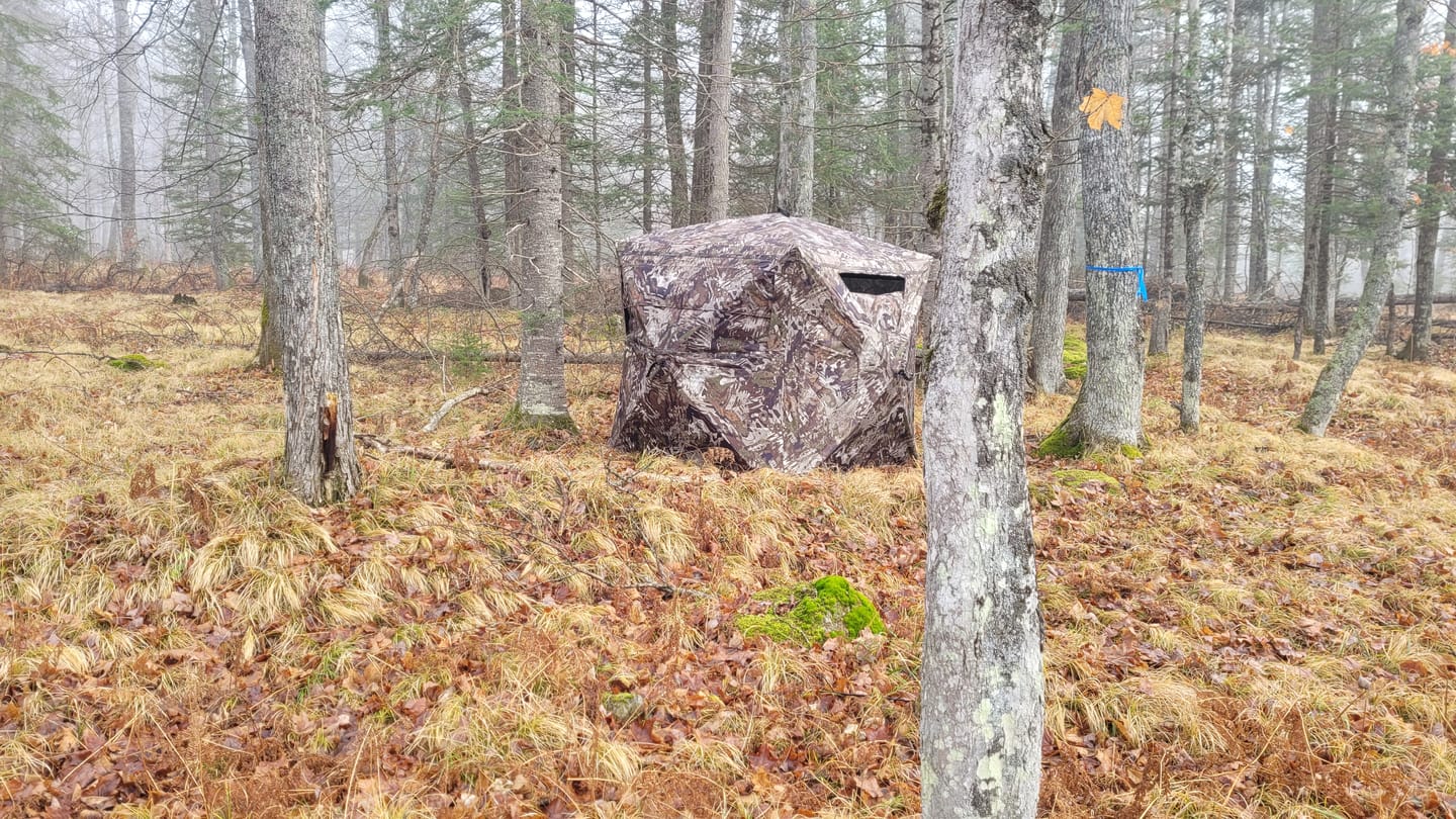 Customer photo review of VisST See-Through Pop-Up Ground Blinds with Silent Magnetic Door