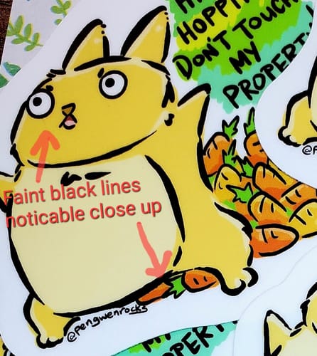 Customer photo review of Custom Sticker Sale