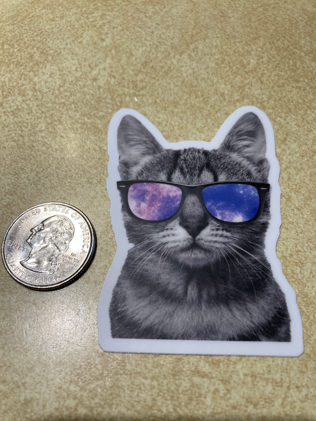 Customer photo review of Cat Sunglasses Sticker