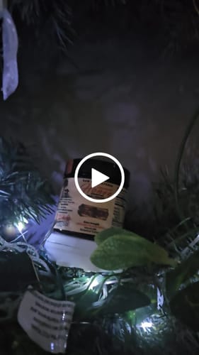 Customer video review of Membership