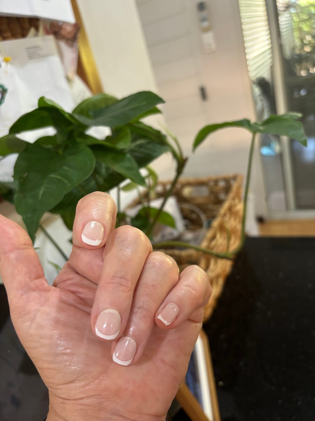 Customer photo review of Classique White French Tip DIY Semicured Gel Nail Sticker Kit