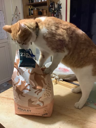Avis photo d'un client sur Croquettes Chat Stérilisé Sans Céréales - Poulet