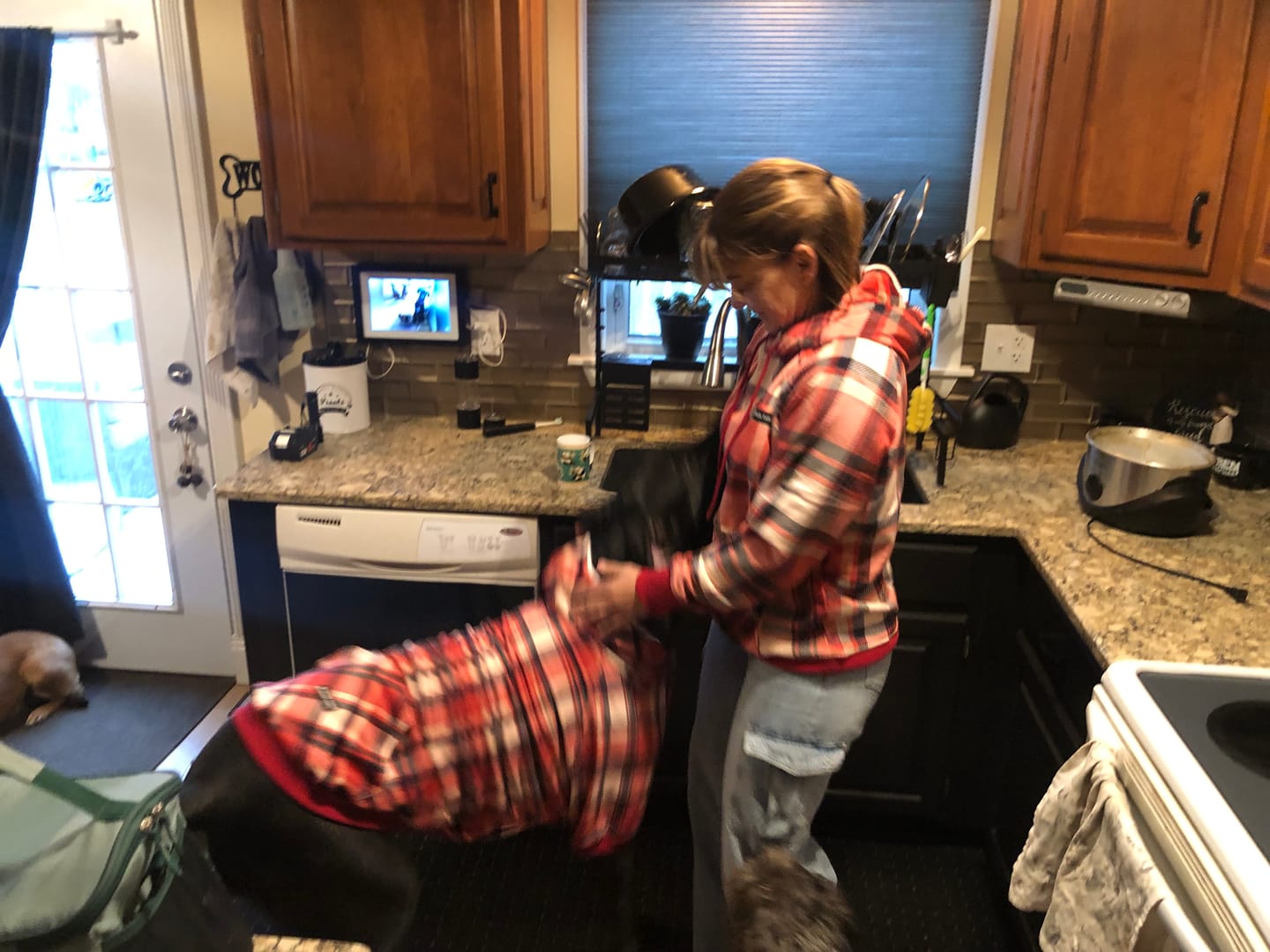 Customer photo review of Red Plaid Human Hoodie