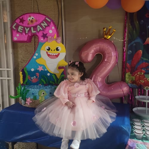 Laura A. review of Elegant Baby Girls Floral Tulle Pageant Dresses Toddler Puff Sleeve Princess Dresses For Girls image 1 out of 2