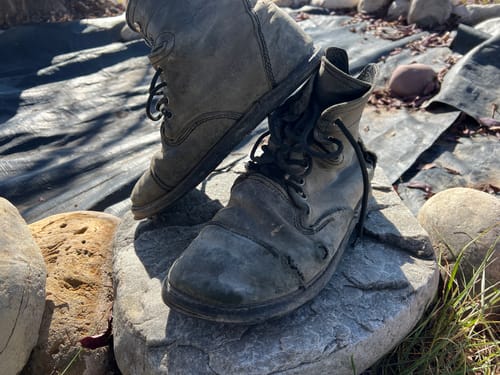 Customer photo review of Bruin / Black Bear