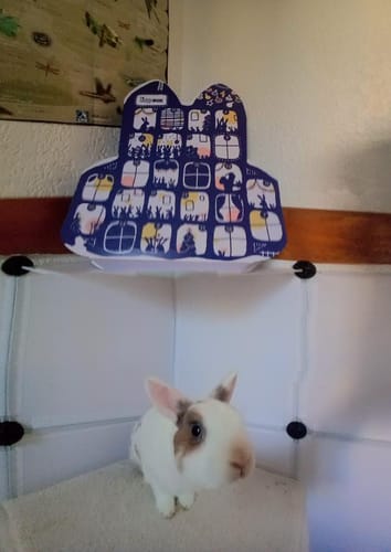 Customer photo review of Le Calendrier de l'Avent Magic'Bunny