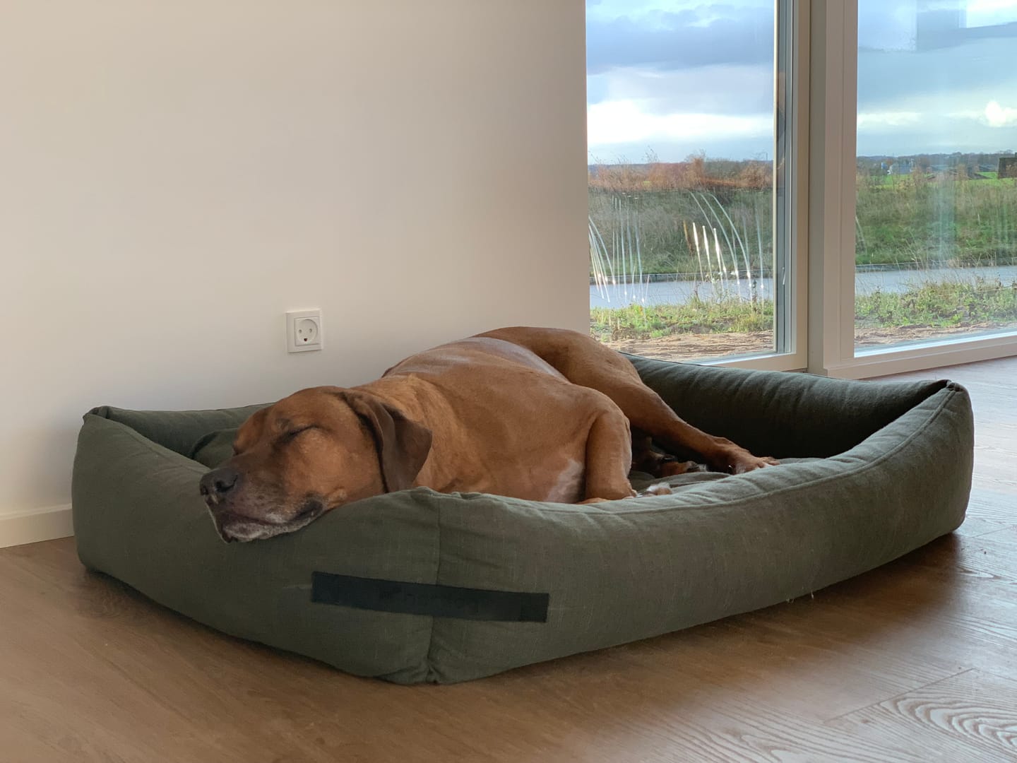Customer photo review of Hundeseng 'HYGGE' (forrest)