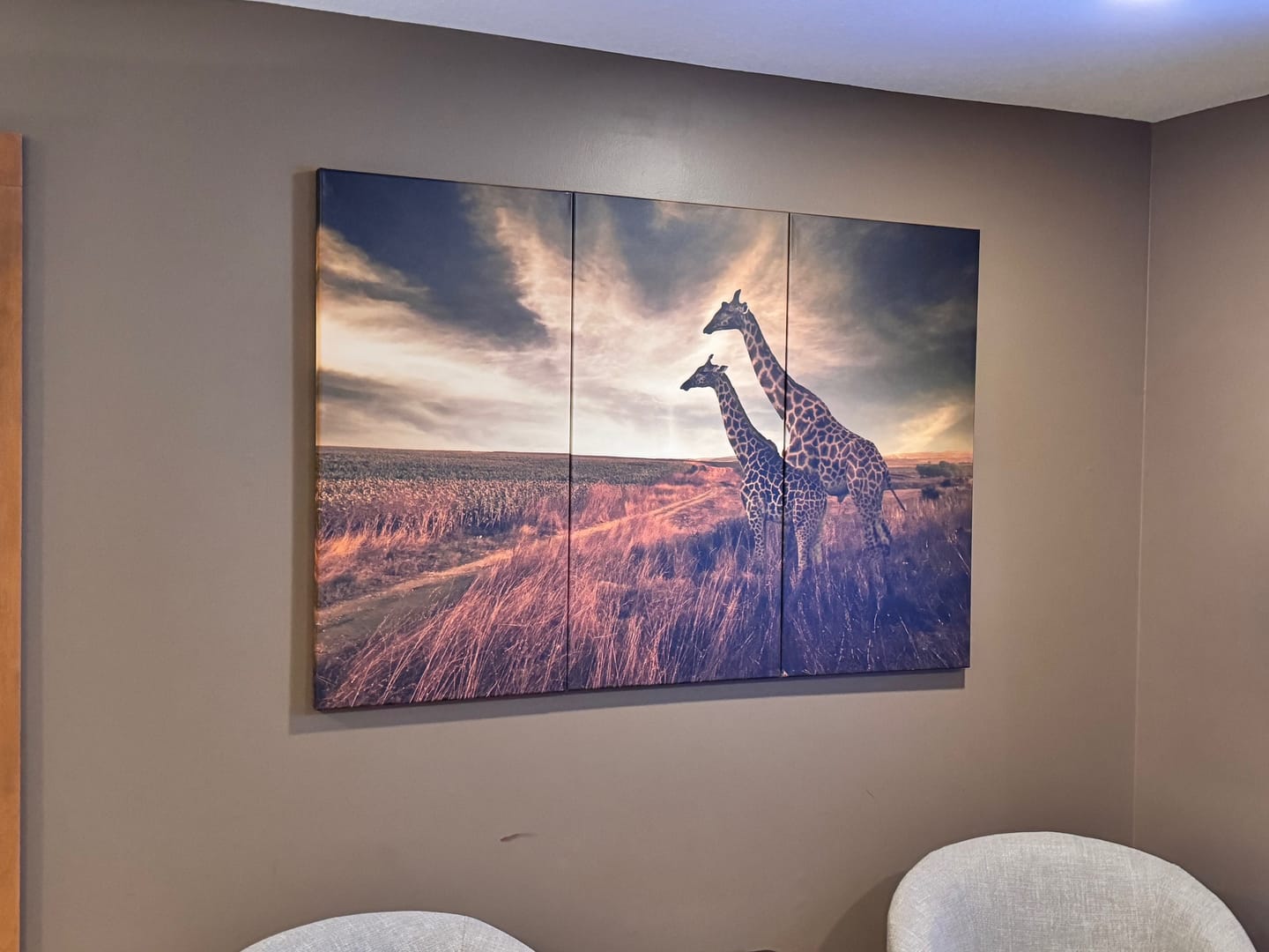 Customer photo review of Giraffes and The Landscape №1836 Ready to Hang Canvas Print