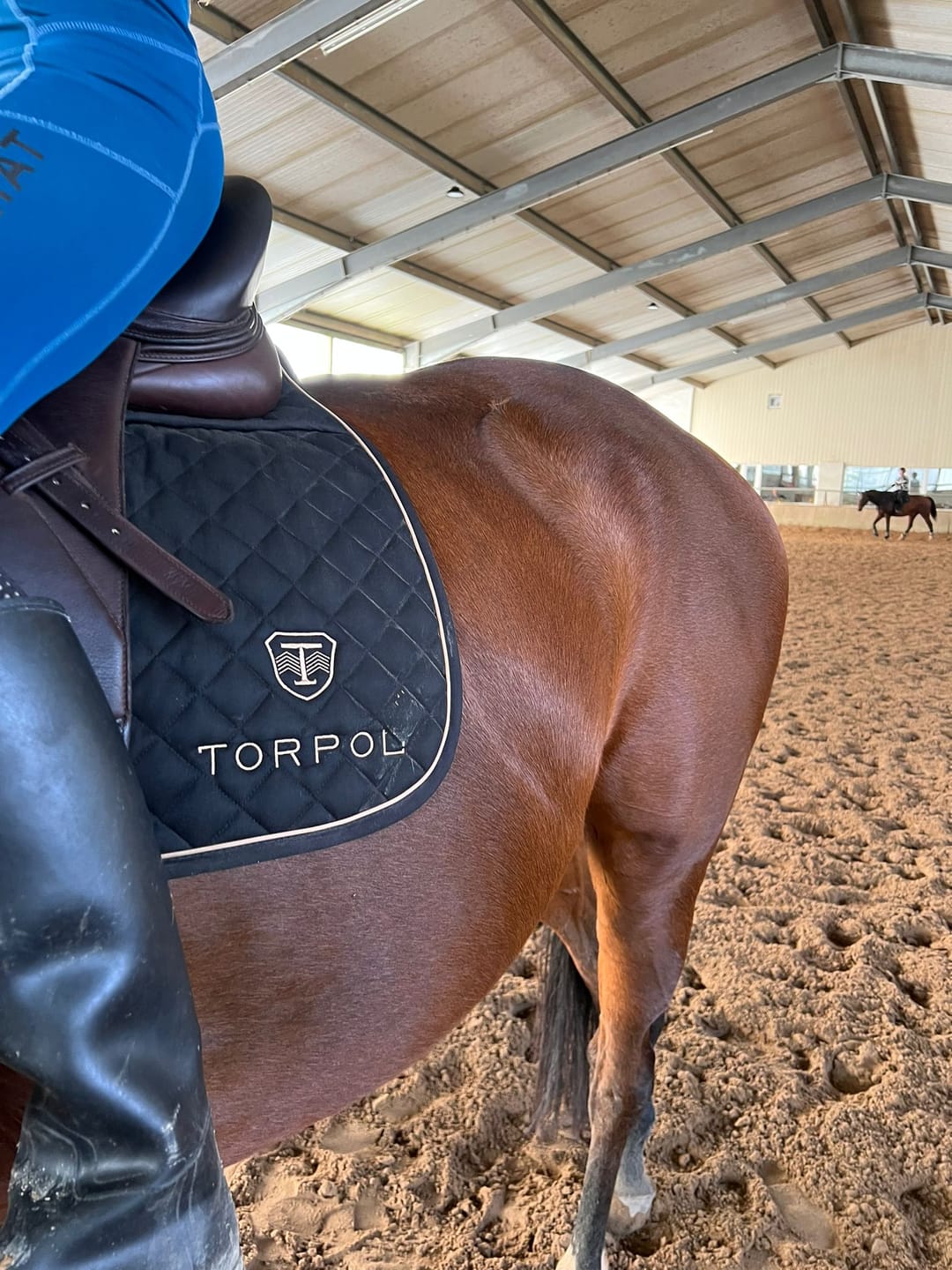 Customer photo review of TORPOL® Schabracke EVO Magnetfeld Spring/Dressur
