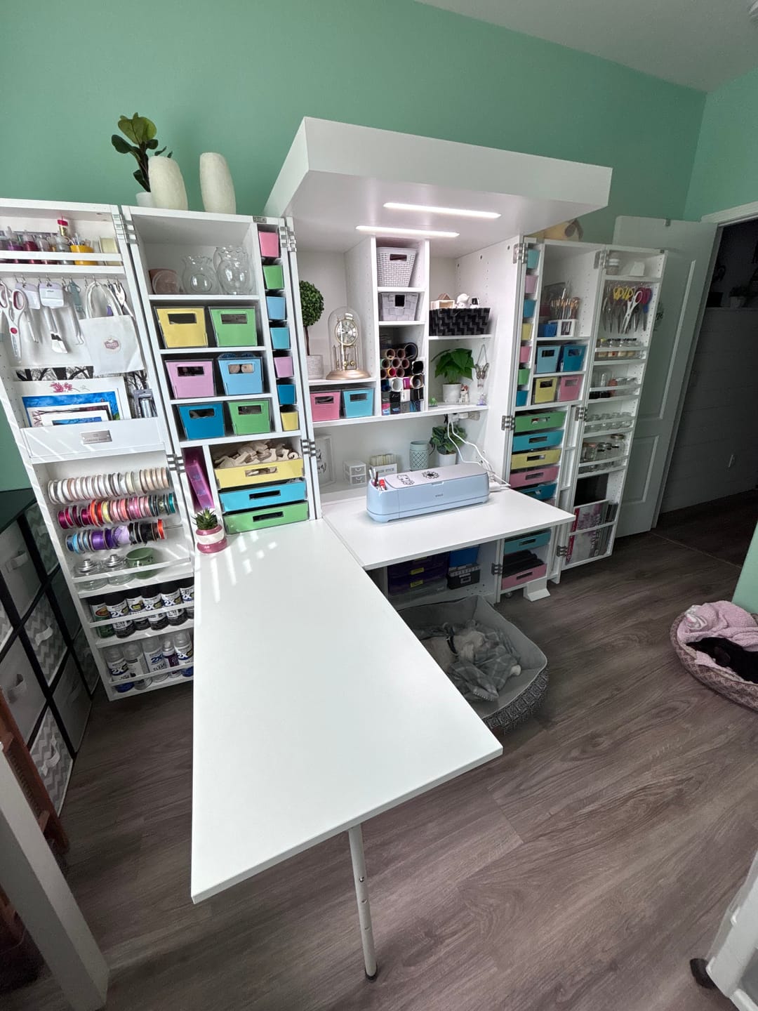 Customer photo review of Deluxe Crown w/ Double Light