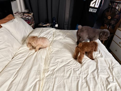 Customer photo review of Plain Fossil