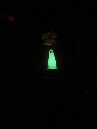Customer photo review of The Adopt a Ghost in a bottle