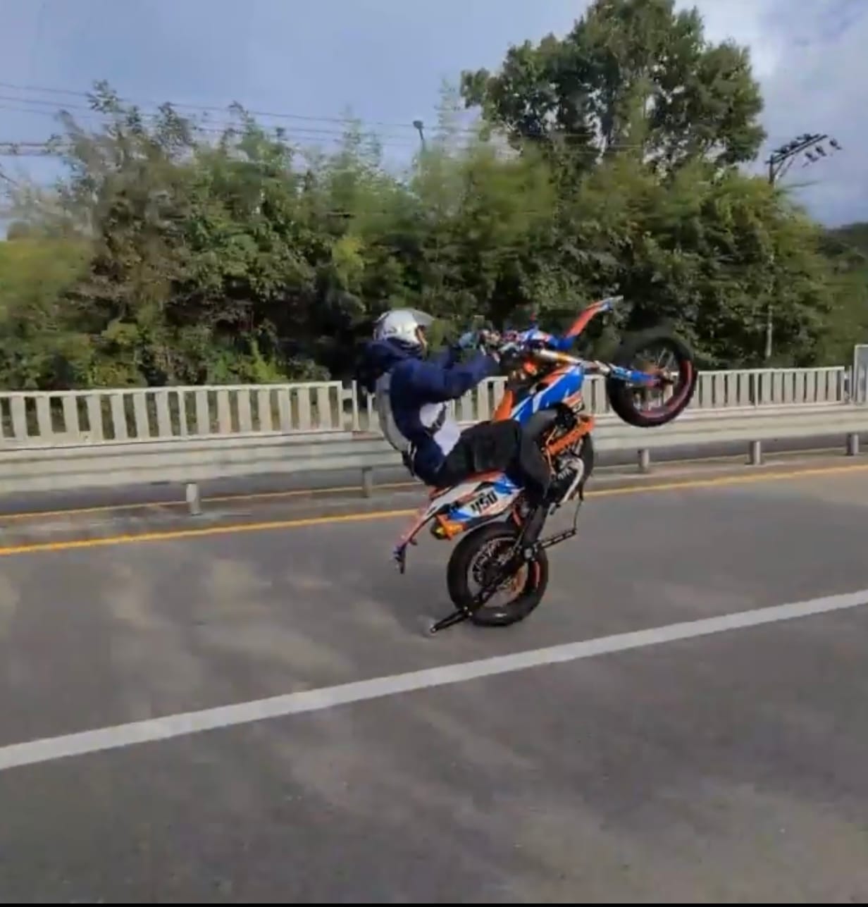 Customer photo review of ABS Wheelie Bar3