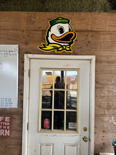 Customer photo review of Oregon Ducks 3D Vintage Metal Wall Art