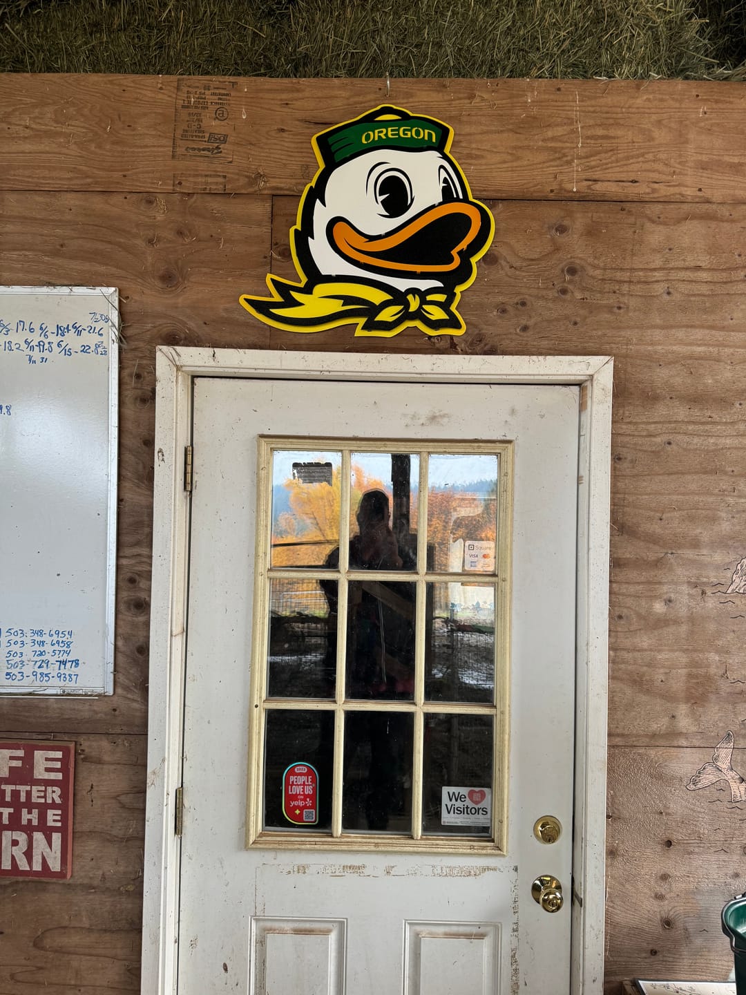 Customer photo review of Oregon Ducks 3D Vintage Metal Wall Art