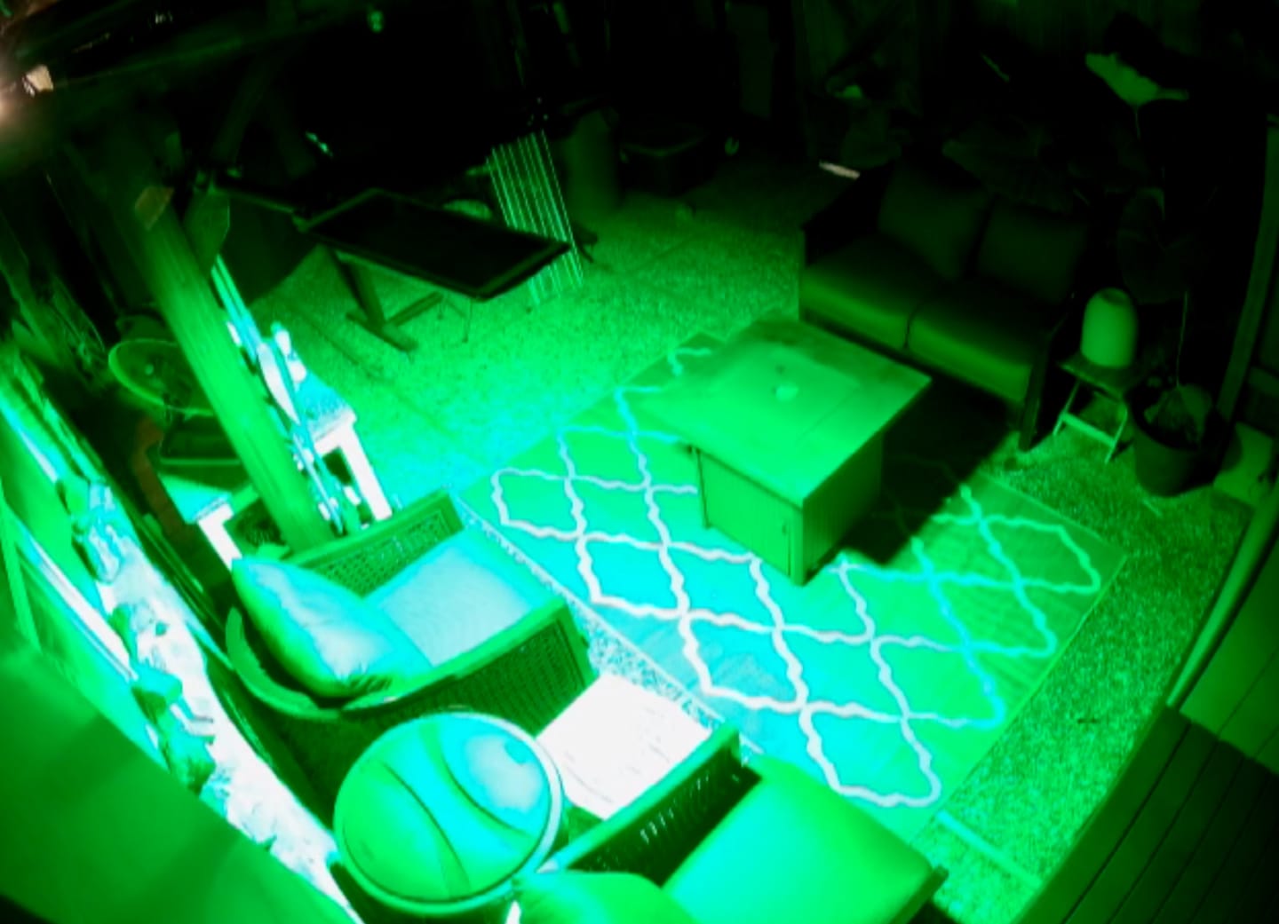 Customer photo review of Powereful Solar Green Feeder Light for Hunting-25,000 lumens