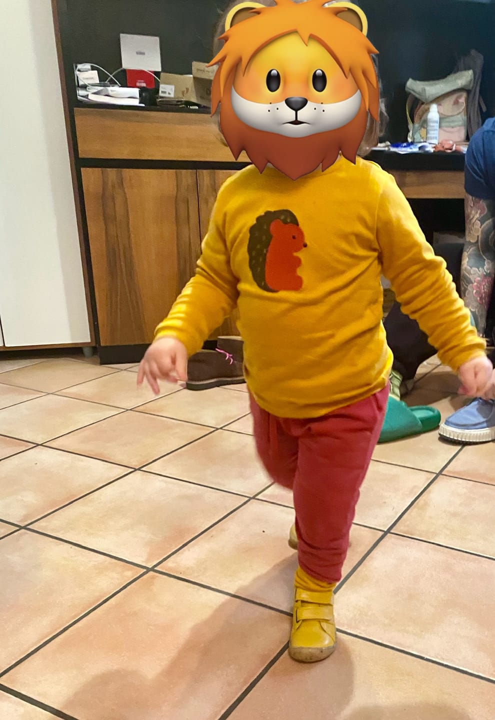 Customer photo review of Little Hedgehog Applique Long Sleeve T-Shirt