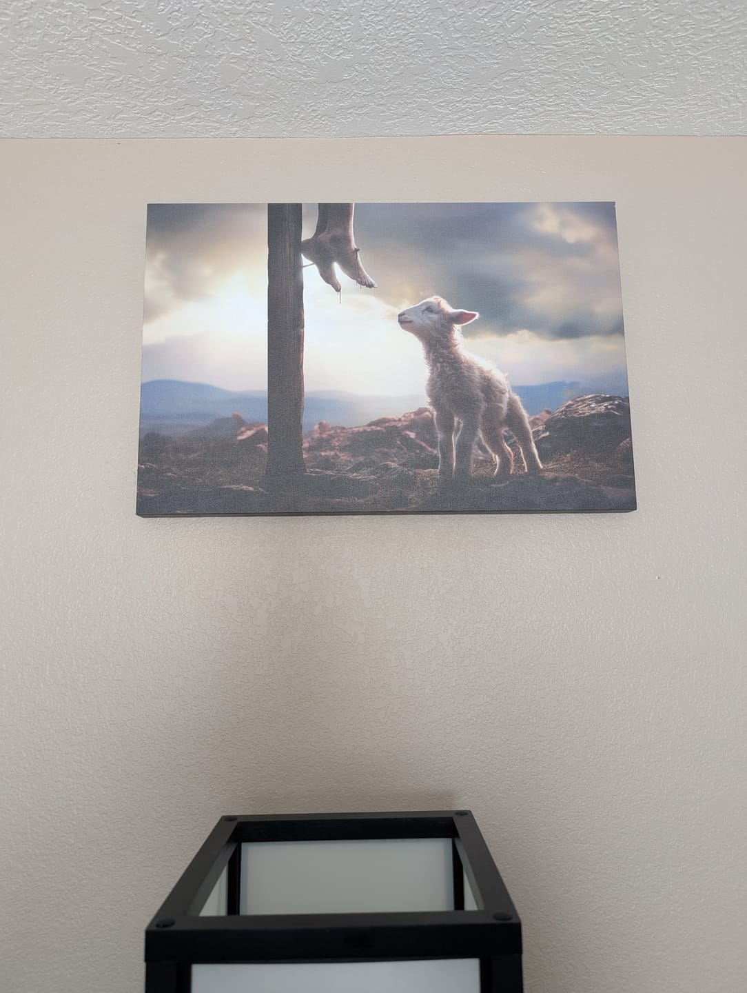 Customer photo review of Lamb Looking Up at Feet of Jesus Wall Art Canvas