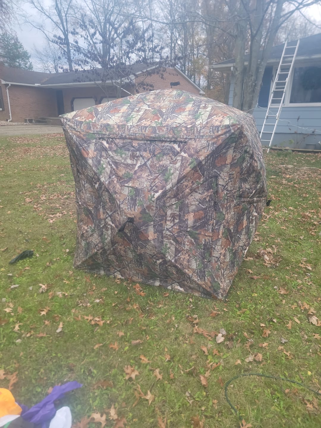 Customer photo review of VisST See-Through Pop-Up Ground Blinds with Silent Magnetic Door
