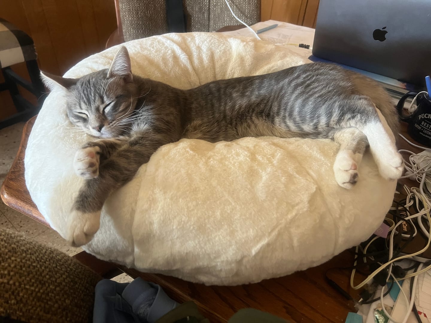 Customer photo review of Marshmallow Pudding Bed