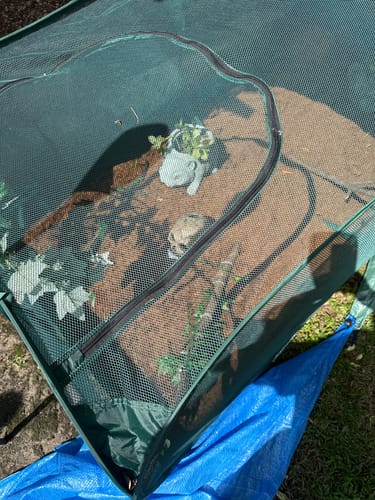 Customer photo review of PUC2000