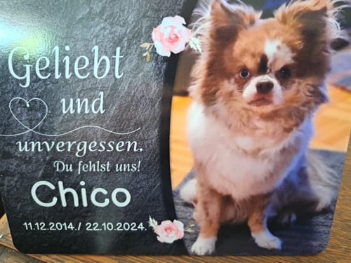 Customer photo review of Hunde Gedenktafel mit Foto & Spruch (UV- &  Wetterfest)