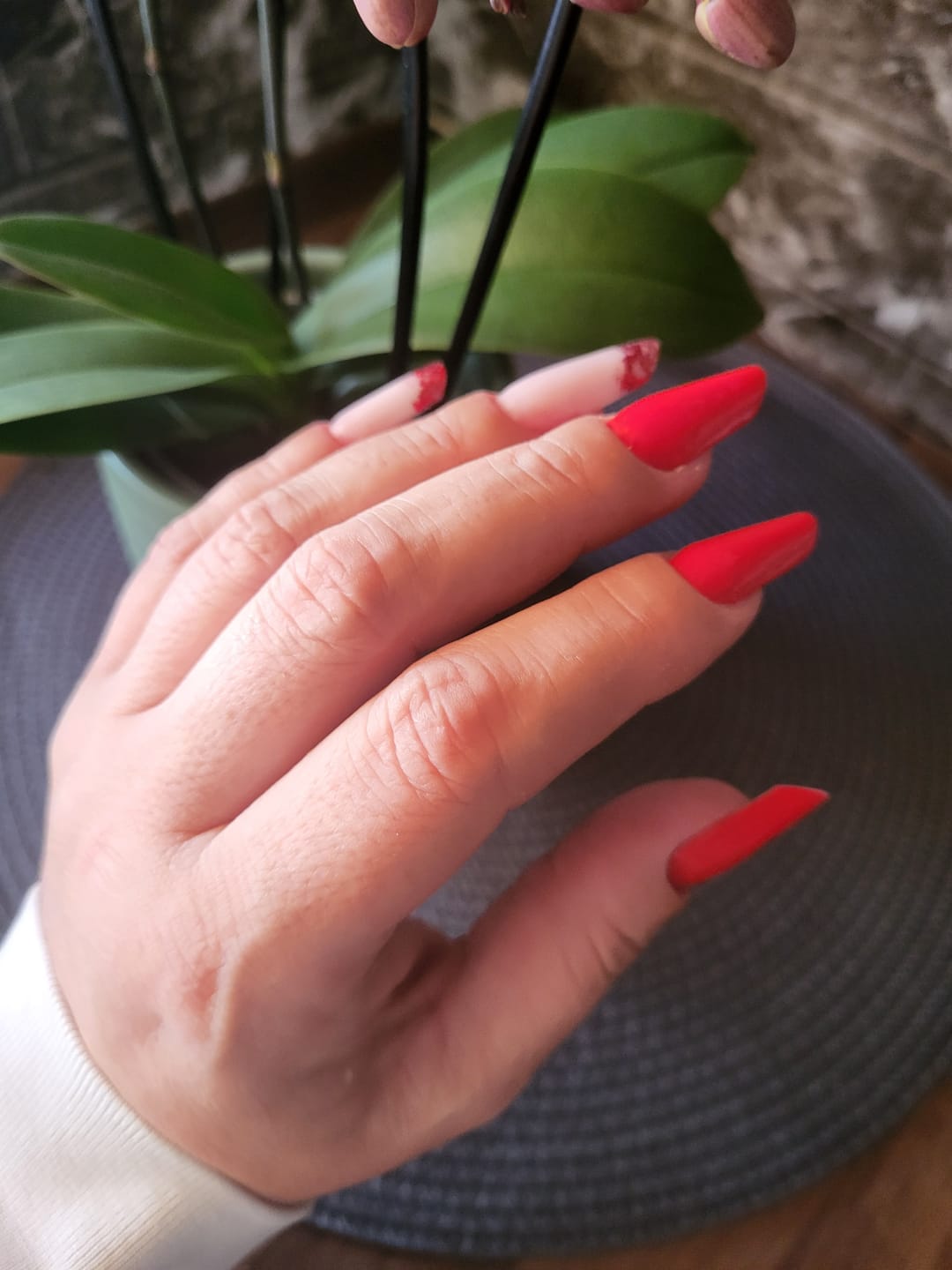Customer photo review of Semilac Acrylgel Nail Form Almond 120 Pcs.