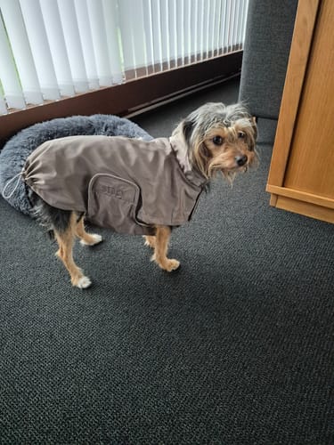 Customer photo review of Staey - Vega Regnfrakke, Taupe