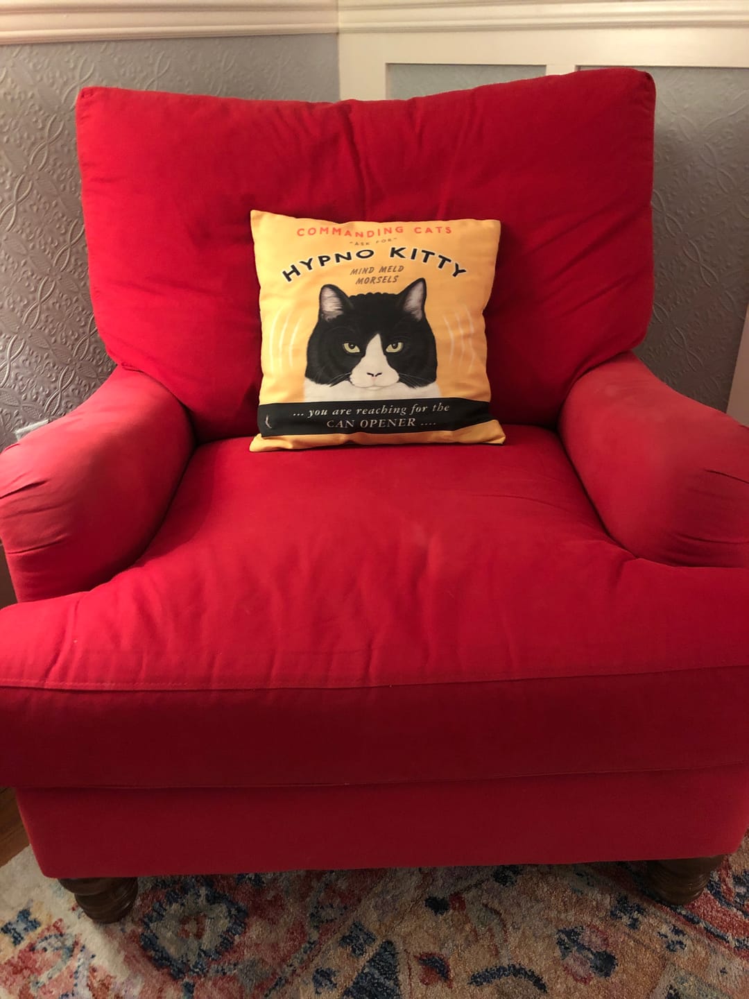 Customer photo review of Cat Art "Hypno Kitty" Art Print by Krista Brooks