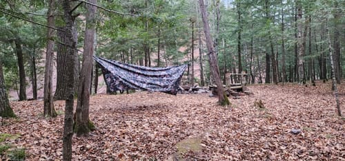 Customer photo review of Haven Safari