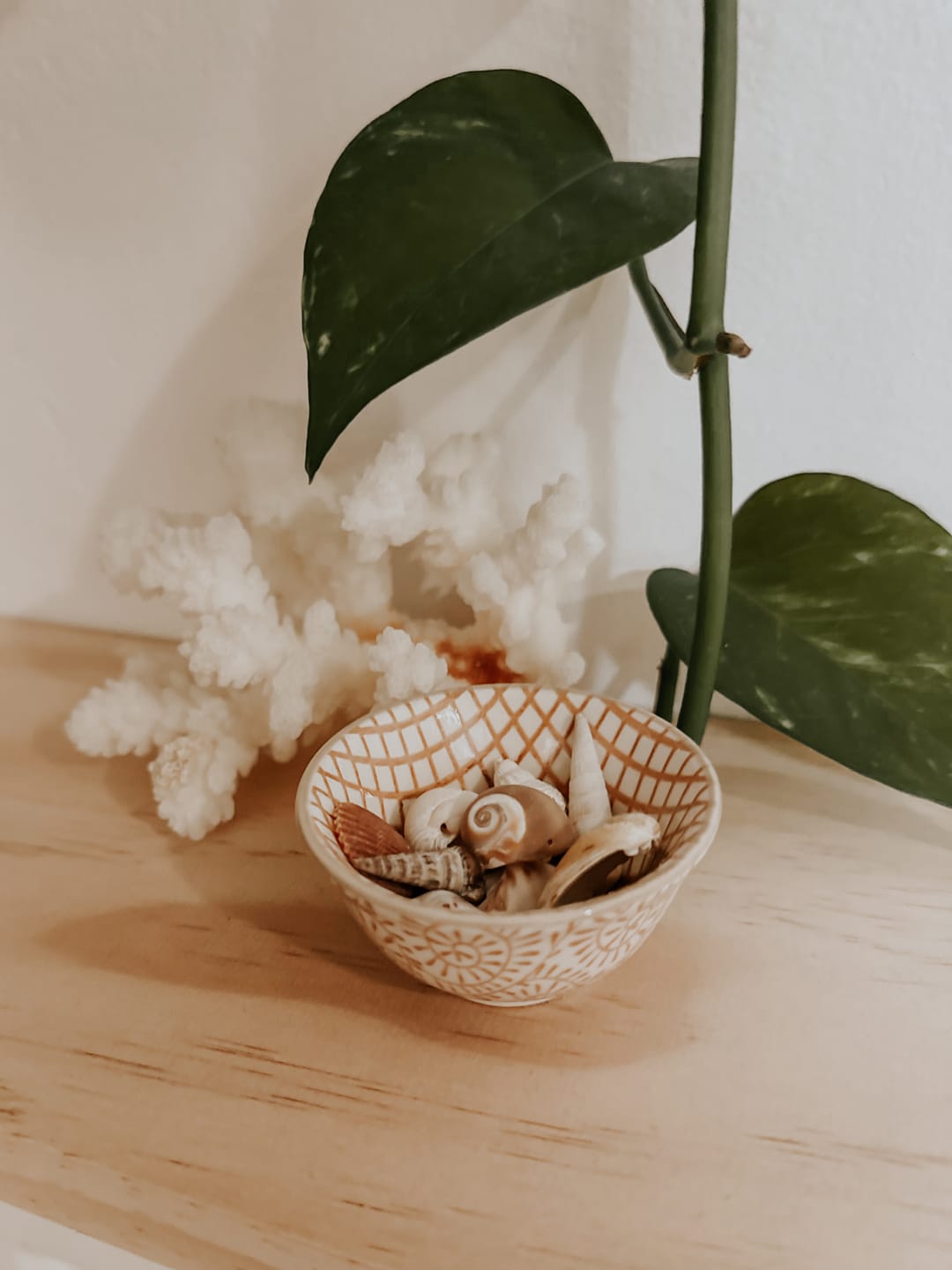 Customer photo review of STONEWARE PINCH POT WITH PATTERN