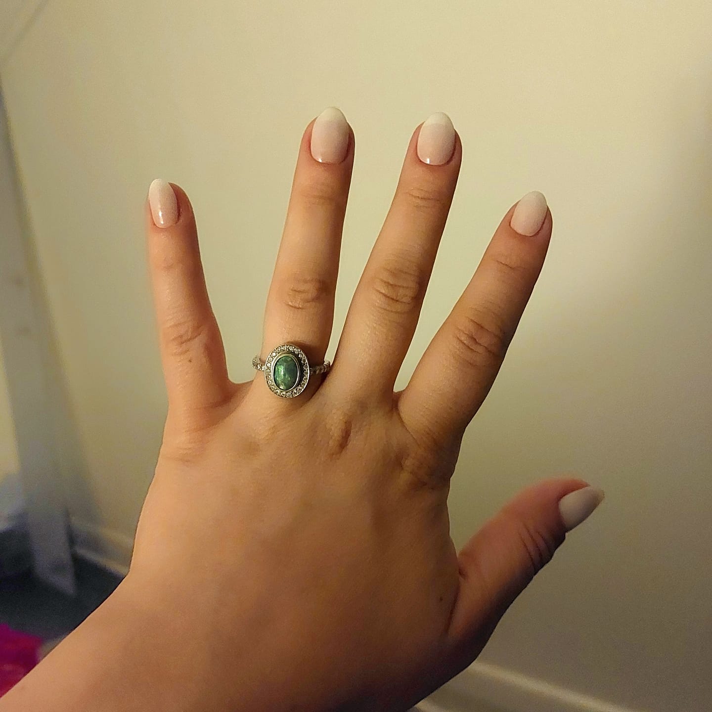 Customer photo review of Nude Pink Ombre DIY Semicured Gel Nail Sticker Kit