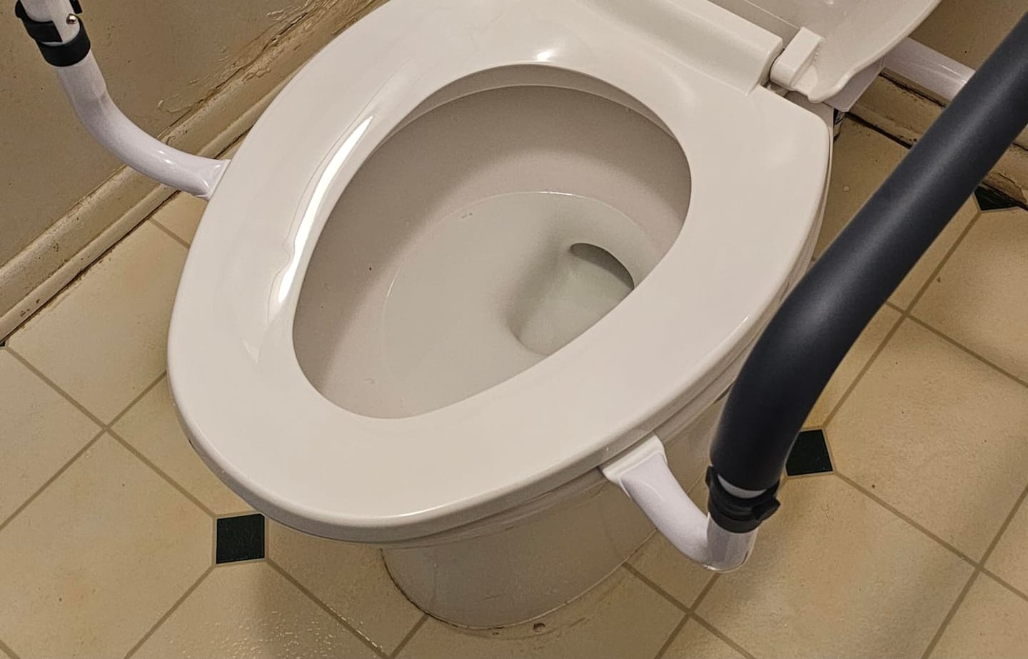 Customer photo review of Toilet Seat with Handles (250lb)