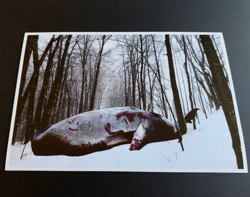 Customer photo review of 6x12 Giclee Fine Art Prints