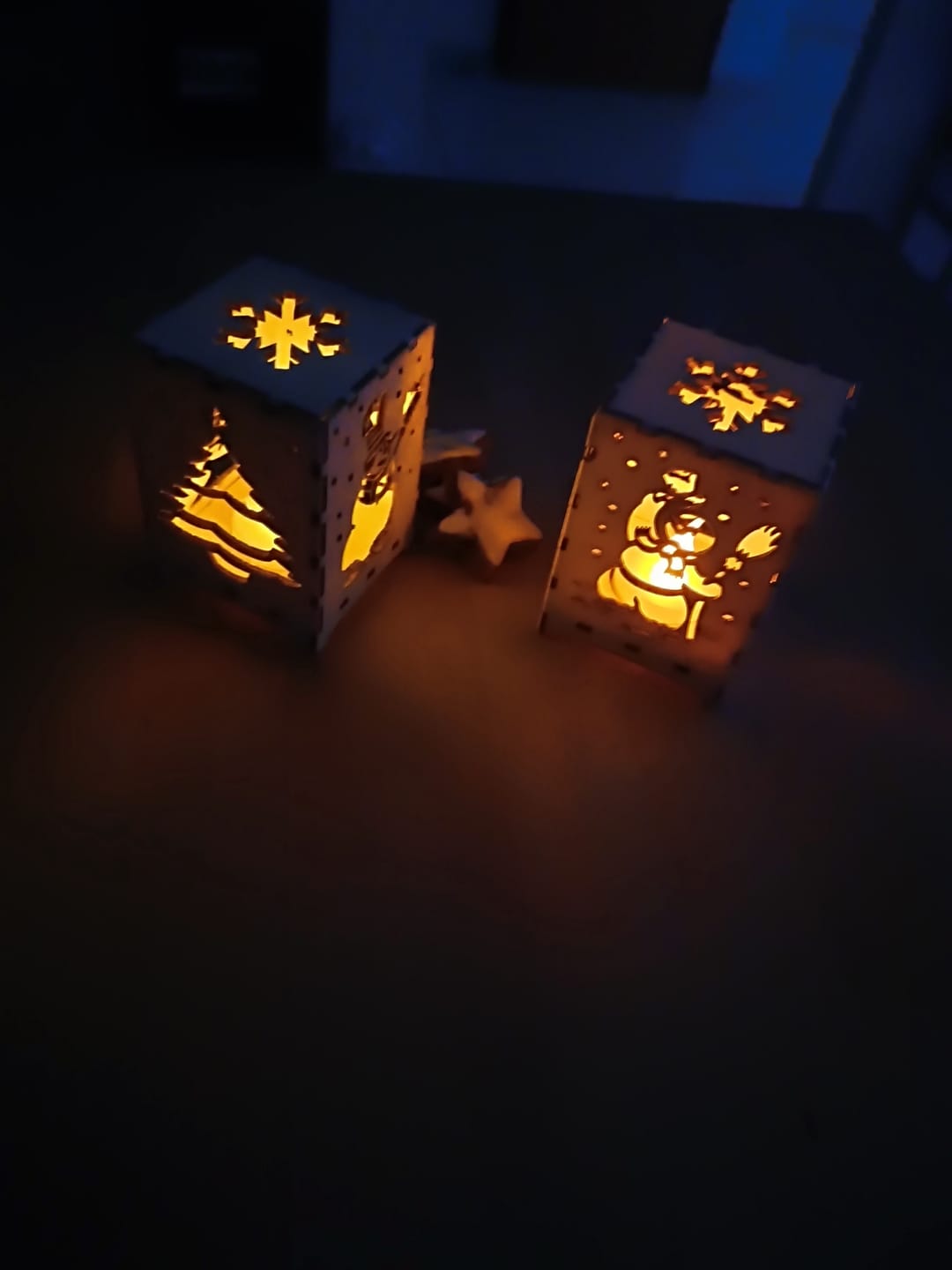 Customer photo review of Air Assist Kits for RAY5 5W&10W Laser Engraver