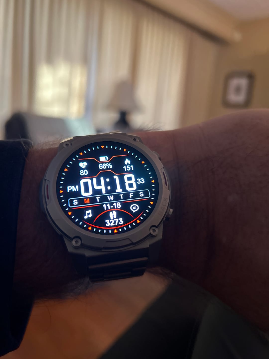Customer photo review of Silver Steel Loop