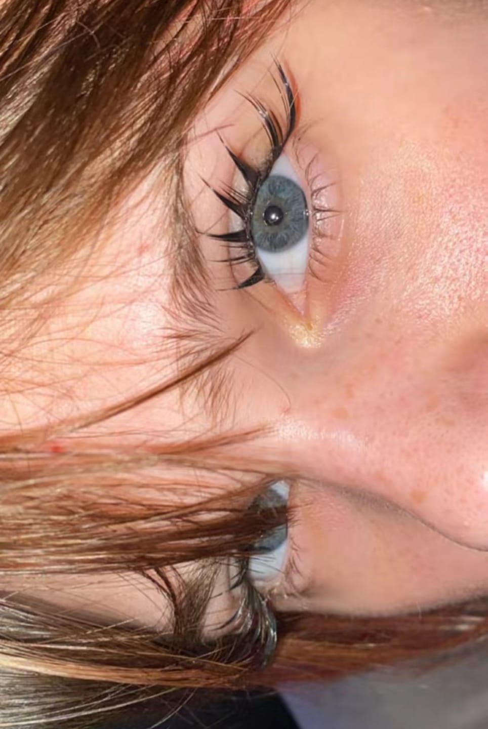 Customer photo review of Velvet Wing