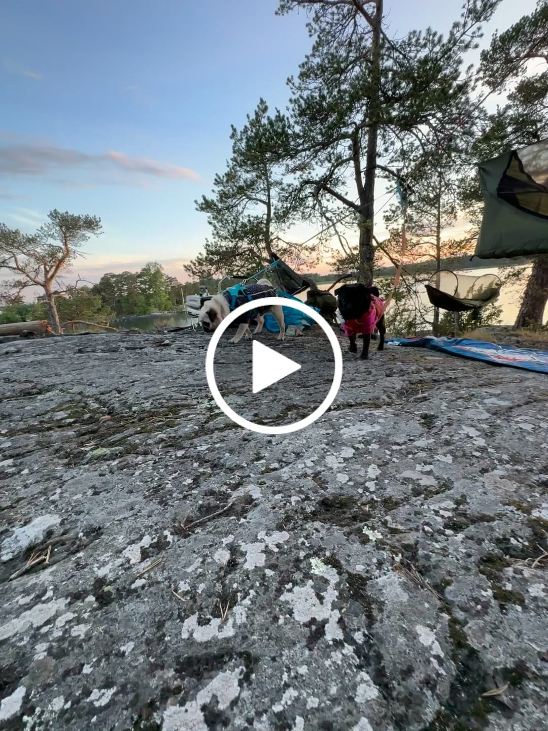 Customer video review of Haven RidgeLight