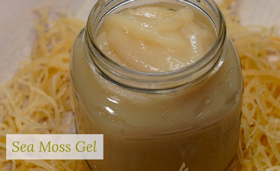 Customer photo review of St. Lucia Wildcrafted Gold Raw Sea Moss